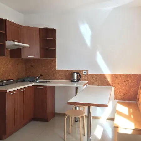 Pod Sosnami Apartment *