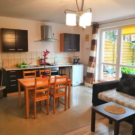 Pod Sosnami Apartman *