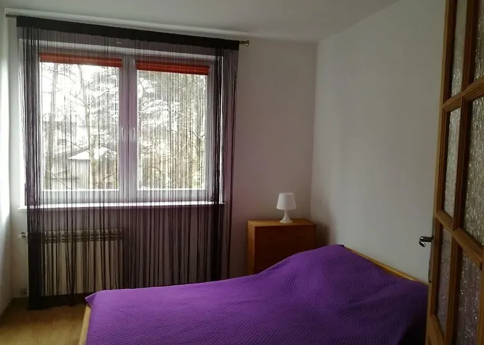 Pod Sosnami Lägenhet *