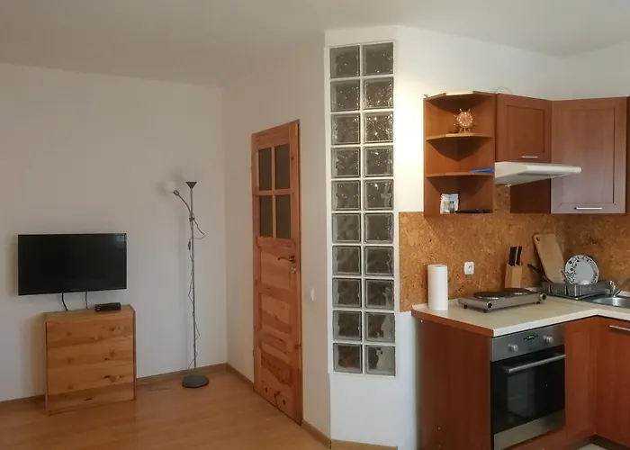 Pod Sosnami Lägenhet *